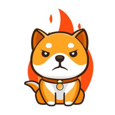 BurnDoge